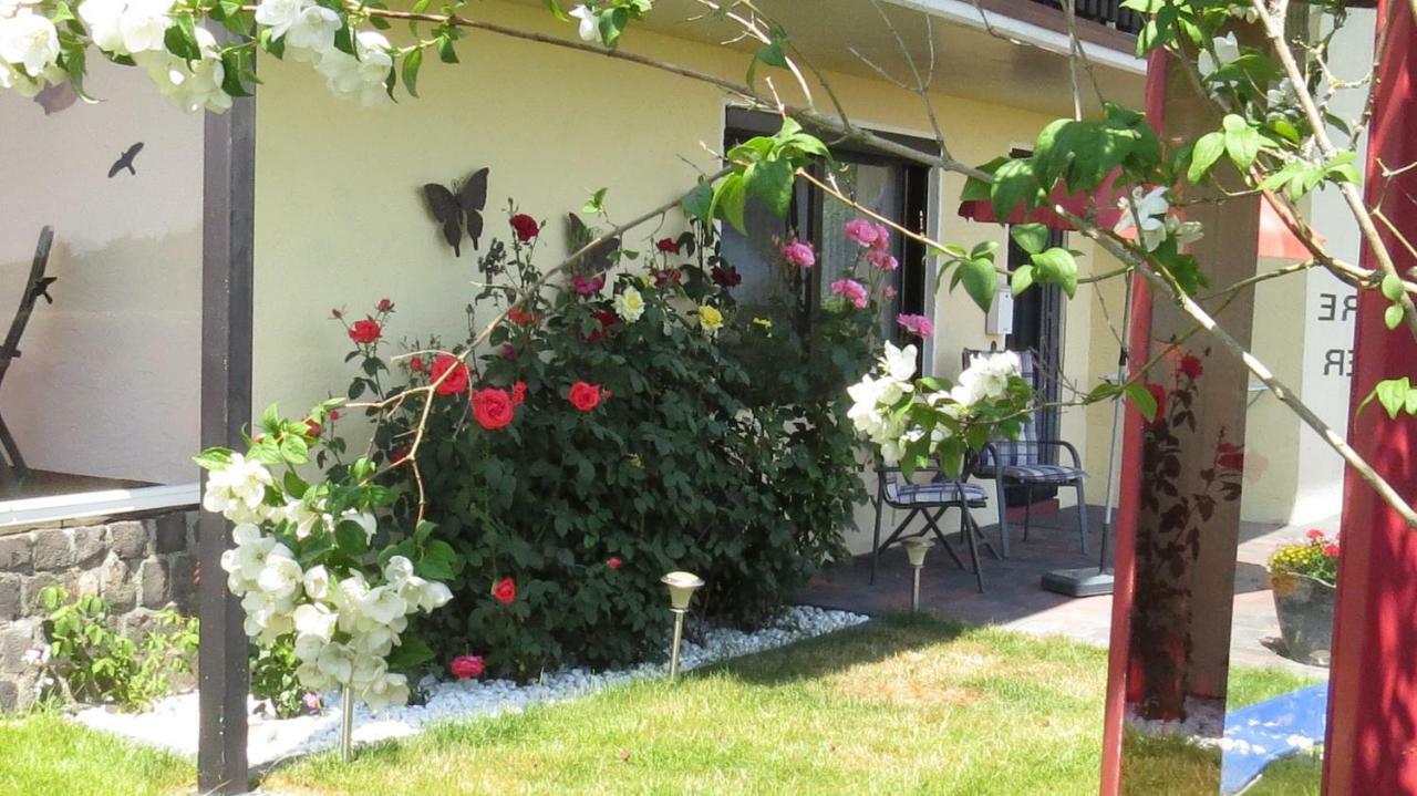 Ferienwohnung Panoramablick Schleiden Dış mekan fotoğraf